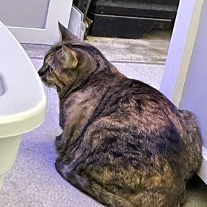 Meet your Posher, Gwynne